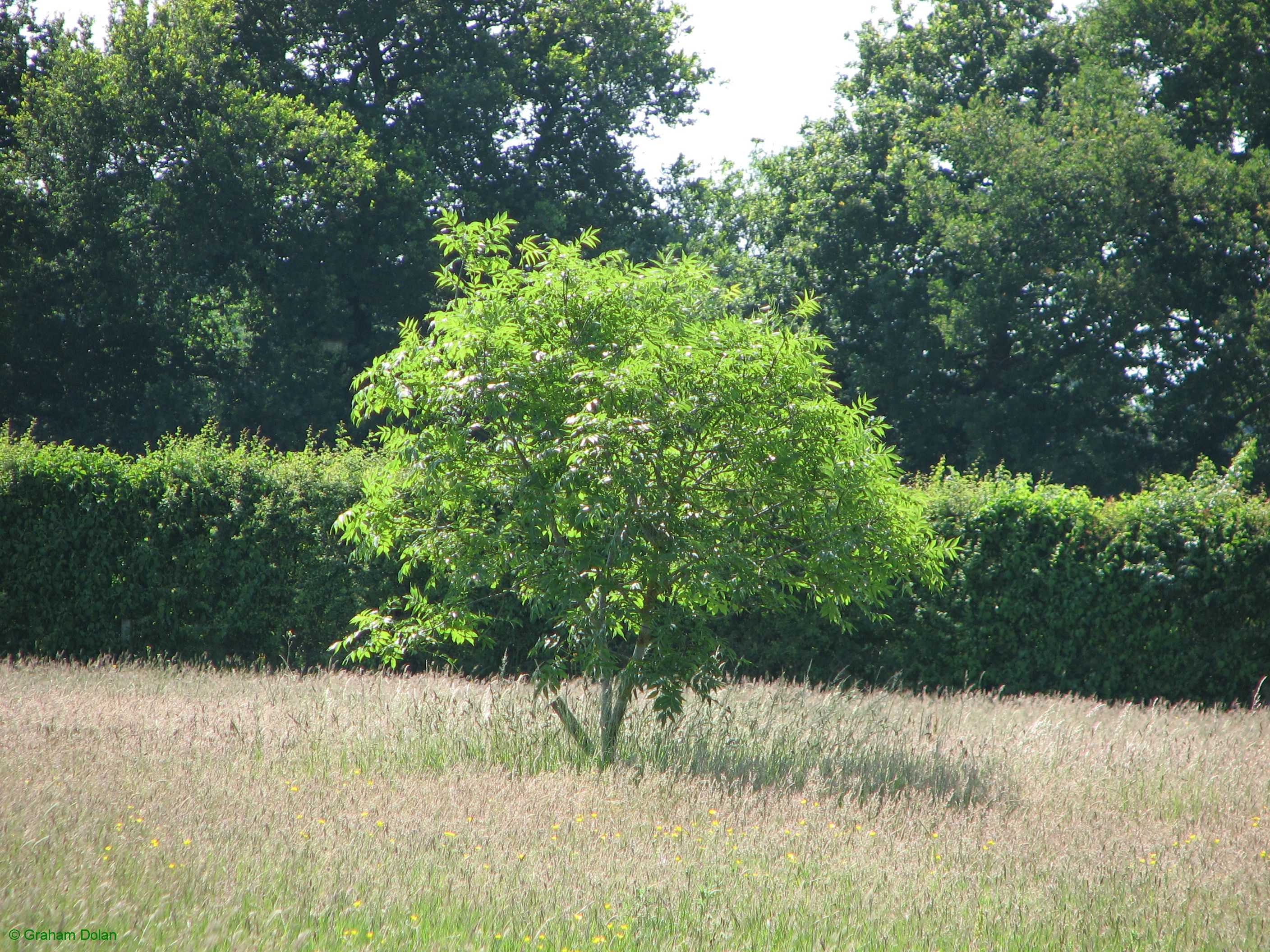 Greenwich Meridian Marker; England; Surrey; Oxted